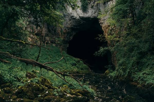 Mysterious Cave in Deep Forest