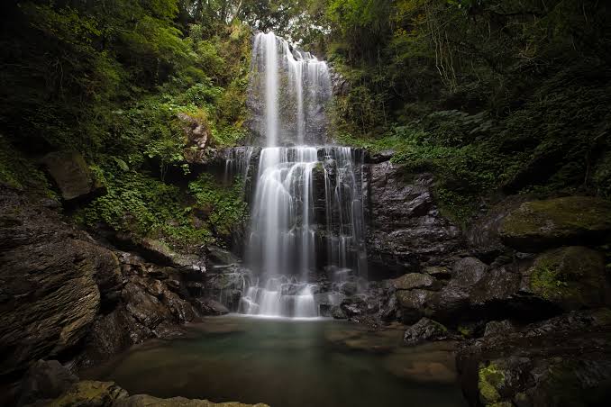 Stunning Waterfall Surrounded by Trees