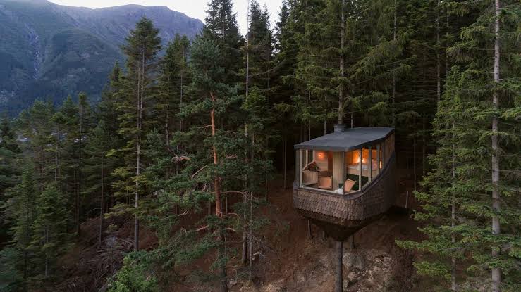 Monkey jungle home model