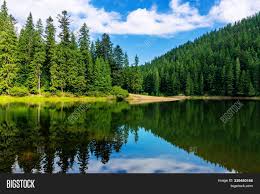 New Treetop Apartment Nice View